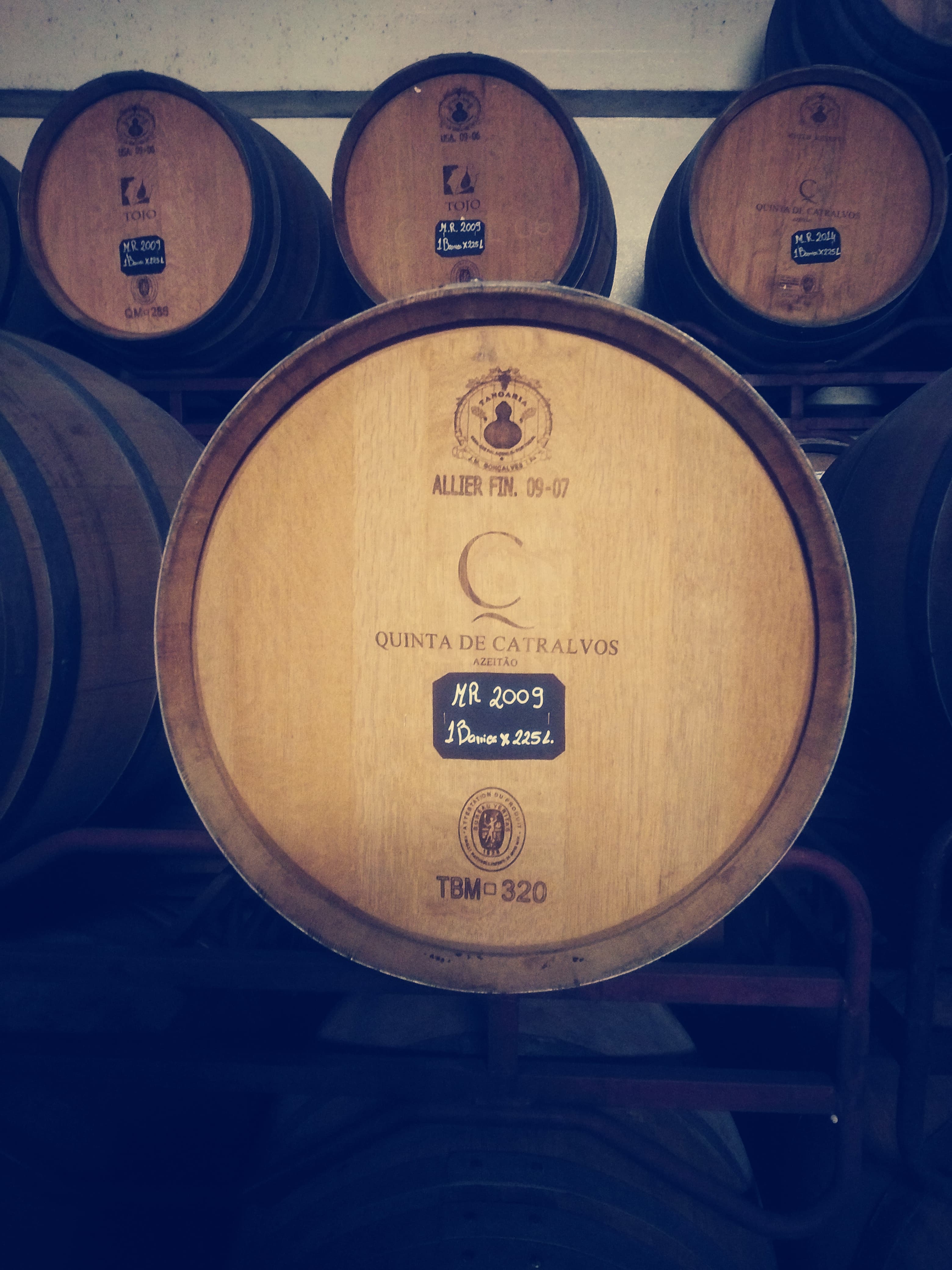 Criadores de Vinho 1