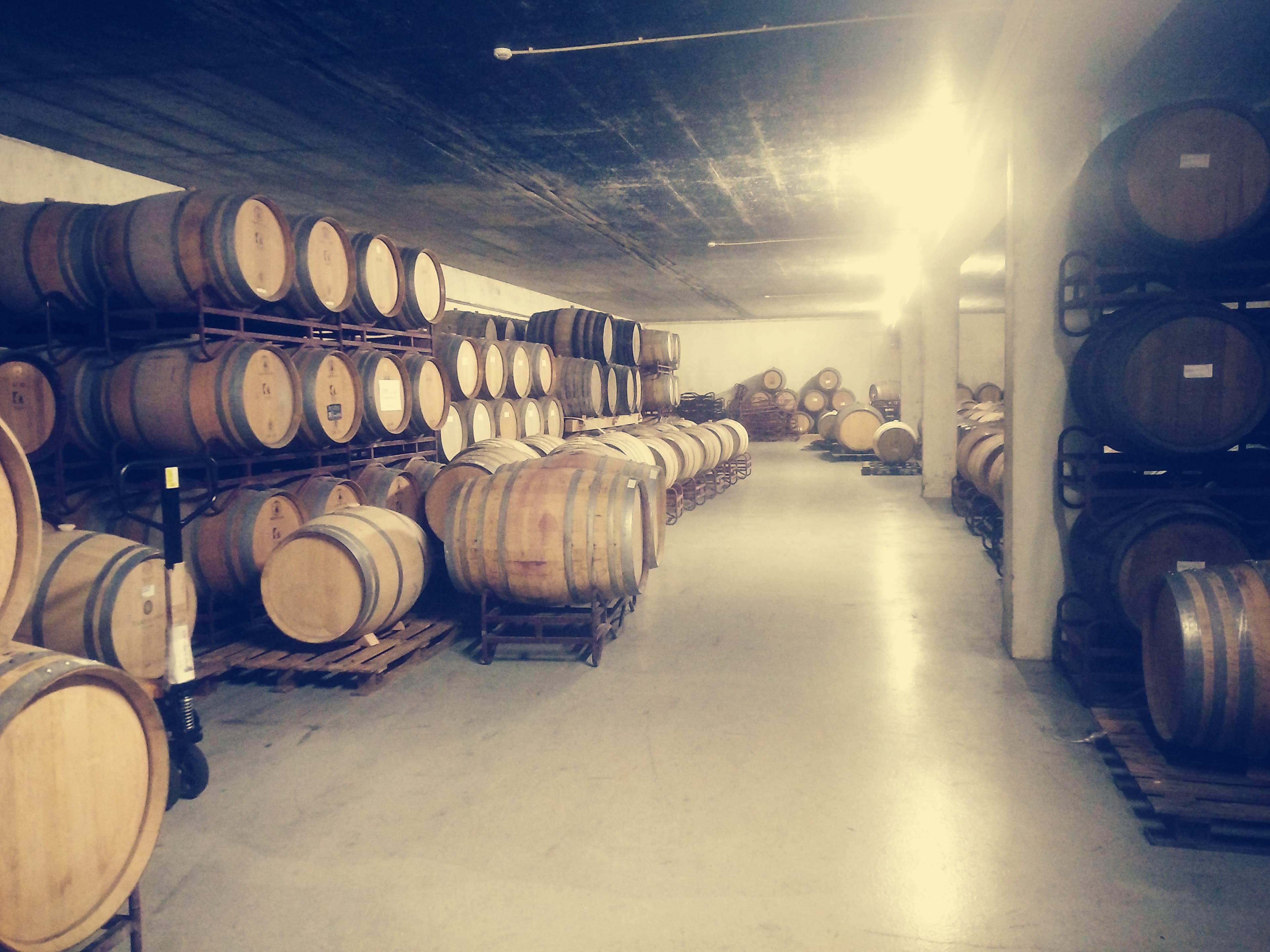 Criadores de Vinho 2