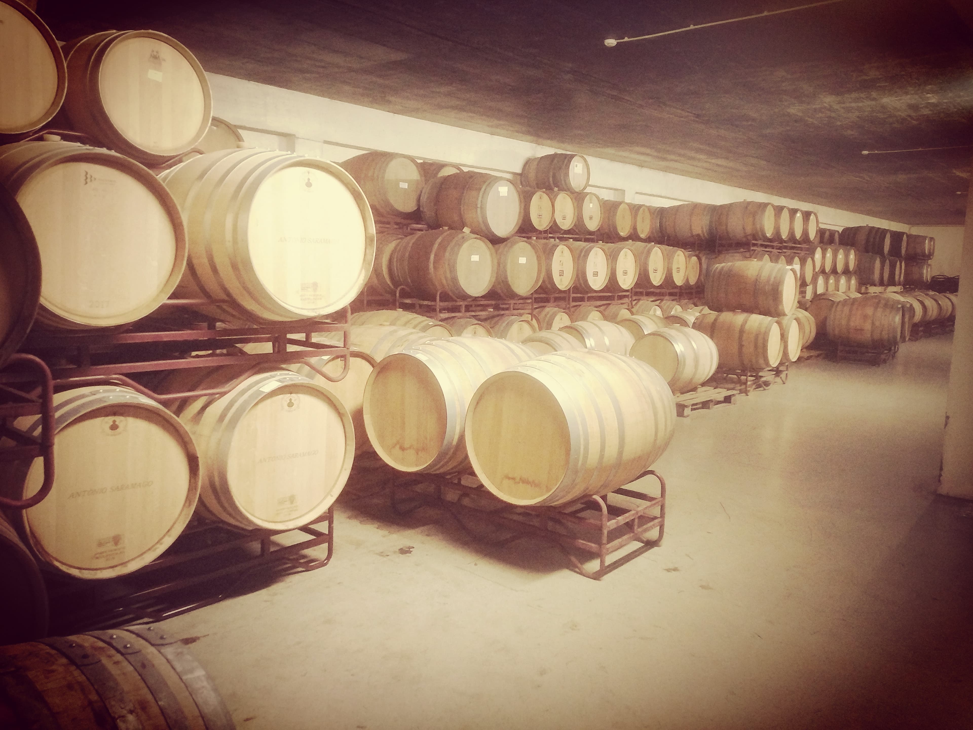 Criadores de Vinho 3